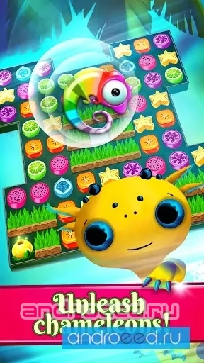 Cute Dragons: Exotic Squash - скриншот 4