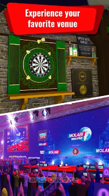 Darts Match 2 - скриншот 2
