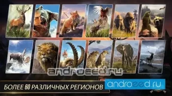 Deer Hunter Classic - скриншот 4