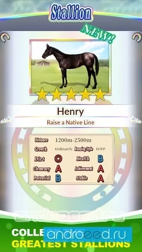 Derby Stallion: Masters - скриншот 3