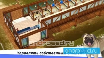 DogHotel - Мой отель для собак - скриншот 2