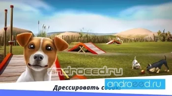 DogHotel - Мой отель для собак - скриншот 1