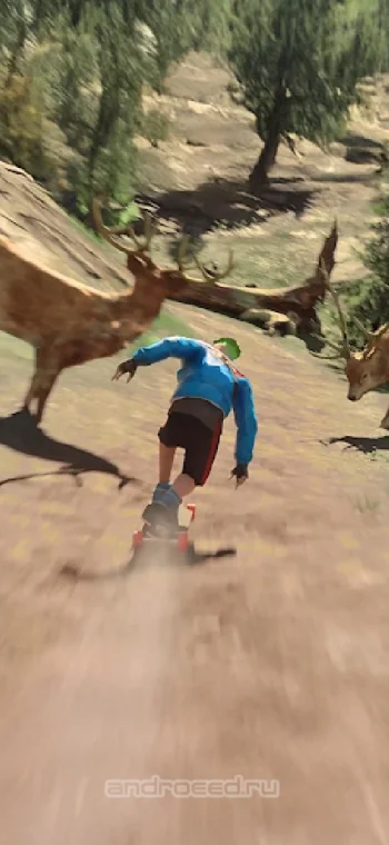Downhill Racer - скриншот 3