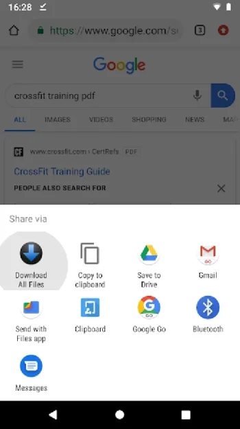 Download All Files - скриншот 4