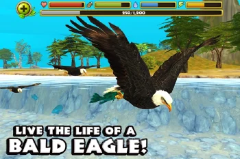 Eagle Simulator - скриншот 1
