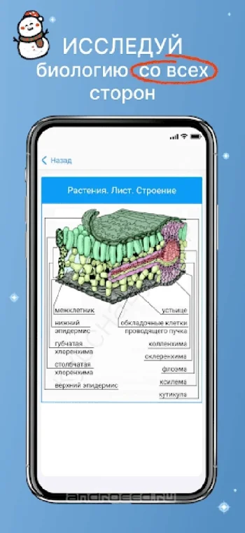 ЕГЭ Биология - скриншот 4