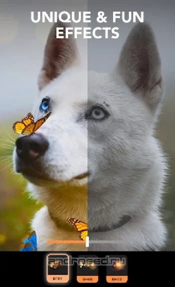 Enlight Pixaloop - скриншот 5