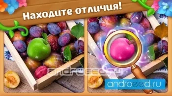 Eye-land: Найди отличия & Приключения на острове - скриншот 2