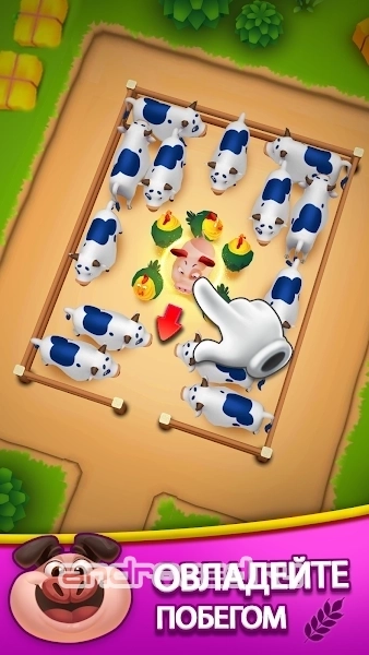 Farm Jam Парковка животных 3D - скриншот 5