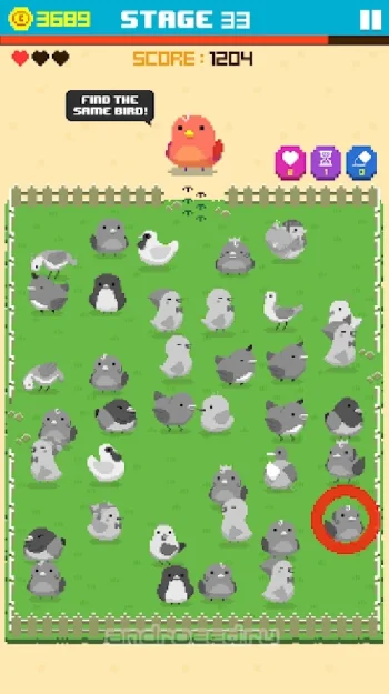 Find Bird - скриншот 1