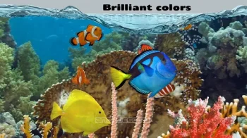 Fish Farm 2 - скриншот 1