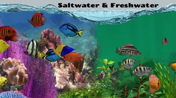 Fish Farm 2 - скриншот 3