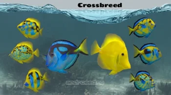 Fish Farm 2 - скриншот 4