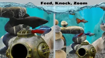 Fish Farm 2 - скриншот 5