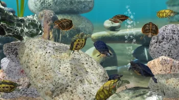 Fish Farm 3 - 3D Aquarium Simulator - скриншот 2