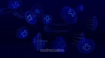 Fish Farm 3 - 3D Aquarium Simulator - скриншот 4