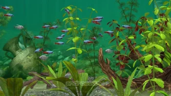 Fish Farm 3 - 3D Aquarium Simulator - скриншот 5