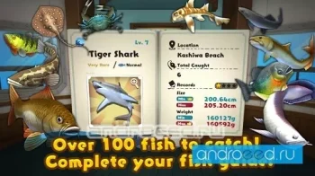 Fishing Star VR - скриншот 2