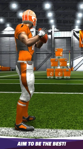 Flick Quarterback {Мод: Много денег] - скриншот 5