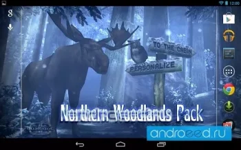 Forest HD FULL - скриншот 4