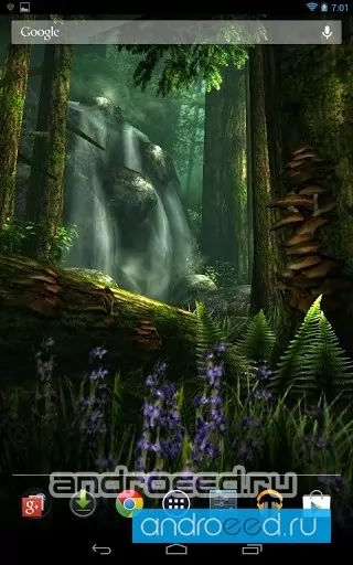 Forest HD FULL - скриншот 1
