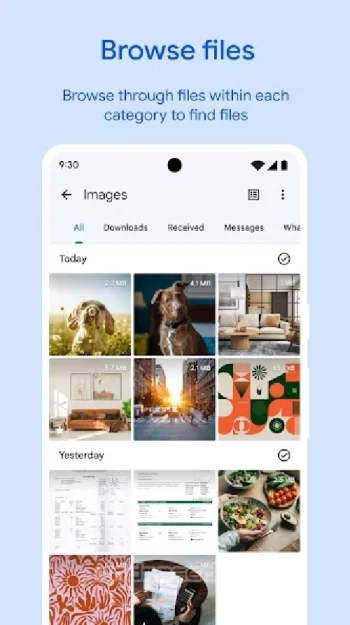 Google Files - скриншот 2