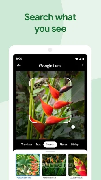 Google Photo (Фото) - скриншот 3