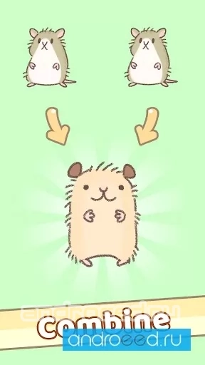 Hamster Race - скриншот 1