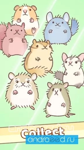 Hamster Race - скриншот 3