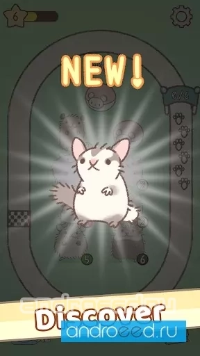 Hamster Race - скриншот 5
