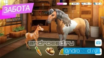 Horse Haven World Adventures - скриншот 1