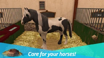 Horse World Premium – игра о лошадях - скриншот 1
