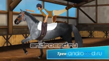 HorseHotel - Уход за лошадьми - скриншот 4