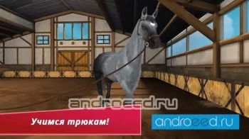 HorseHotel - Уход за лошадьми - скриншот 2