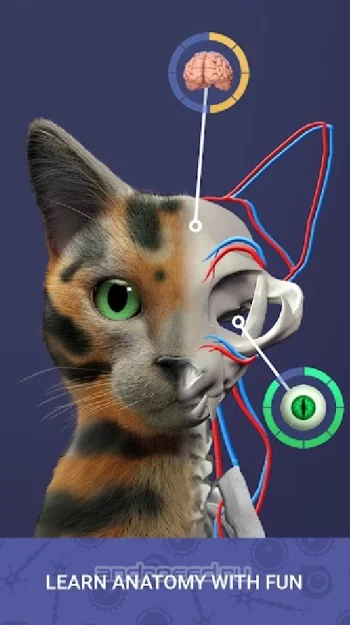 Idle Pet - Create cell by cell - скриншот 2