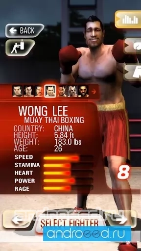 Iron Fist Boxing - скриншот 4