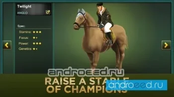 Jumping Horses Champions 2 - скриншот 3
