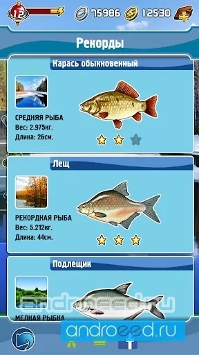 Карманная Рыбалка - скриншот 4