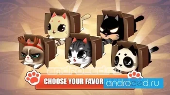 Kitty in the Box - скриншот 2