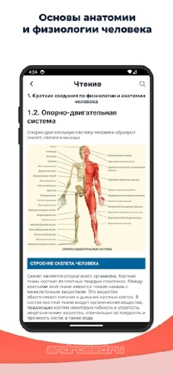 Медпомощь При ДТП - скриншот 5
