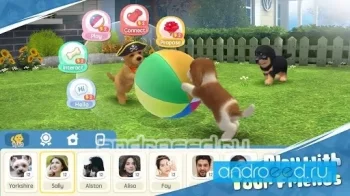 My Dog - Pet Dog Game Simulator - скриншот 3