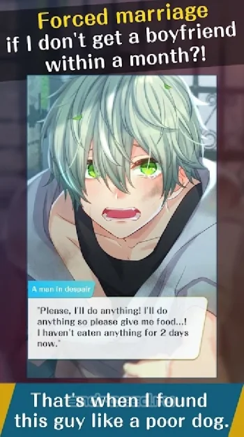 My Puppy Fiance - Otome Visual Game - скриншот 5