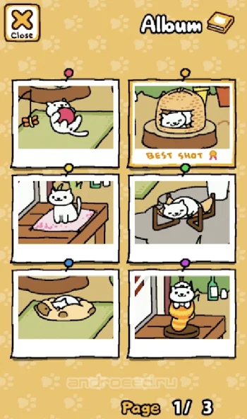 Neko Atsume: Kitty Collector - скриншот 4