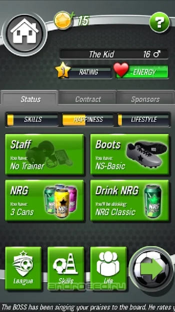 New Star Soccer - скриншот 4
