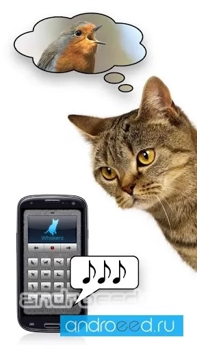 Переводчик на кошачий - скриншот 2