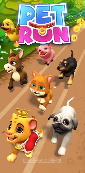 Pet Run - Puppy Dog Game - скриншот 5