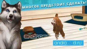 PetHotel - Забота о животных - скриншот 3