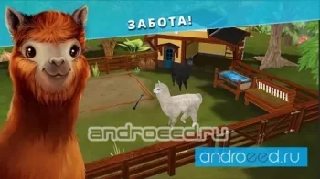 PetHotel - Забота о животных - скриншот 1