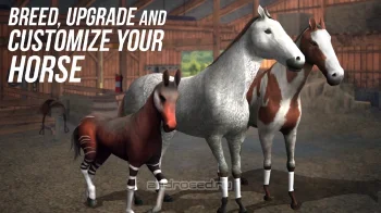 Photo Finish Horse Racing - скриншот 4