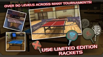 Ping Pong Masters - скриншот 2